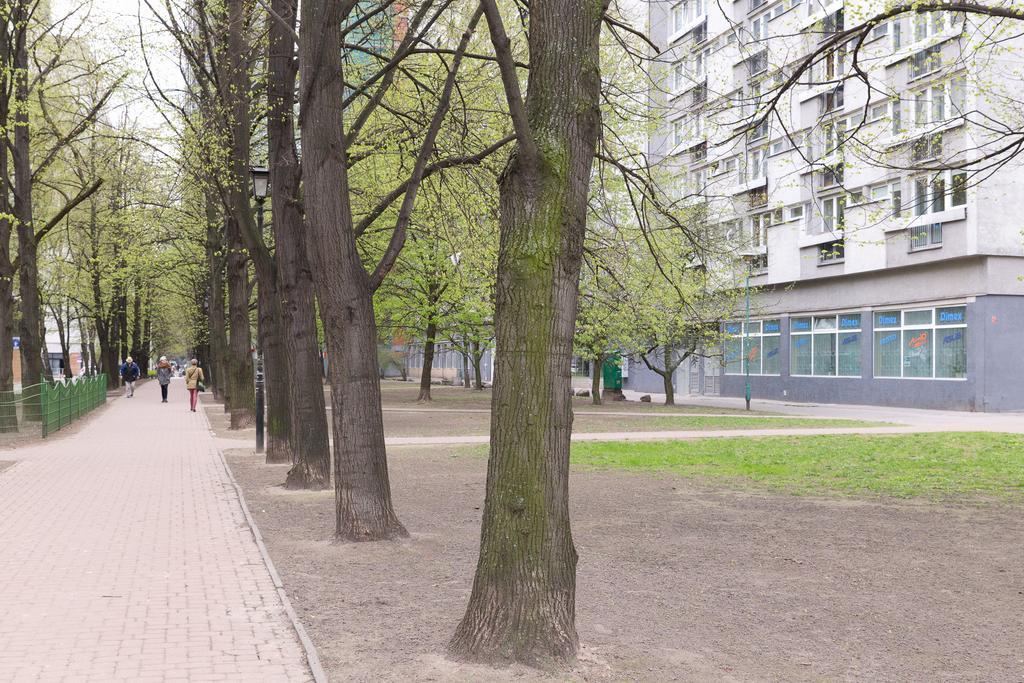 Studio Grzybowska - Warsaw Center Phòng bức ảnh